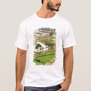 T-shirt Asie, Chine, Yunnan, Honghe. Terrasses de riz à p