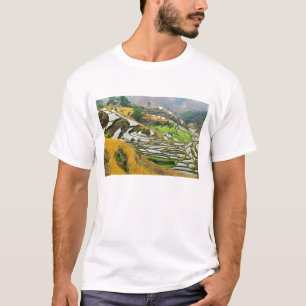 T-shirt Asie, Chine, Yunnan, préfecture de Yuxi ; Yuanjian