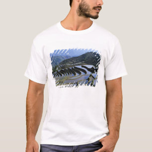 T-shirt Asie, Chine, Yunnan, Yuanyang. Accidenté