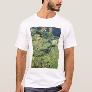 T-shirt Asie, Chine, Yunnan, Yuanyang. Motif de vert