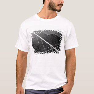 T-shirt Asie, Japon, Tokyo. Escaliers, Tokyo International