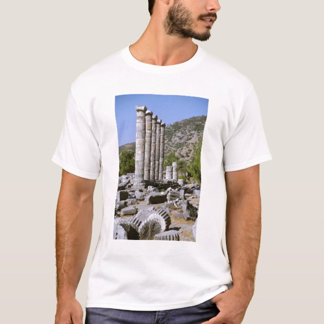 T-shirt Asie, Moyen-Orient, Turquie, Ephèse. Temple de (Devant)