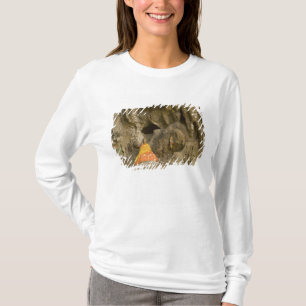 T-shirt Asie, Thaïlande, Mae Hong Son, Images de Bouddha