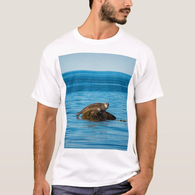 T-shirt Atlantic Harbor Seal (Devant)