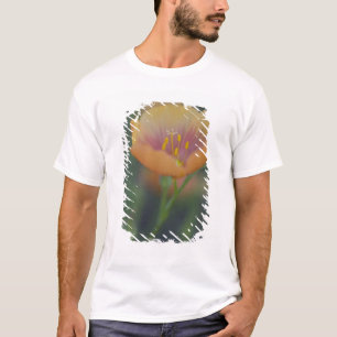 T-shirt Au sud de Devine Texas le long de l'Interstate 35
