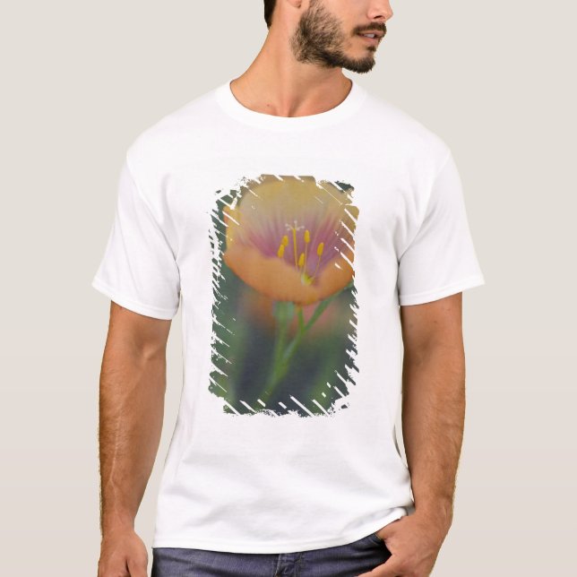 T-shirt Au sud de Devine Texas le long de l'Interstate 35 (Devant)