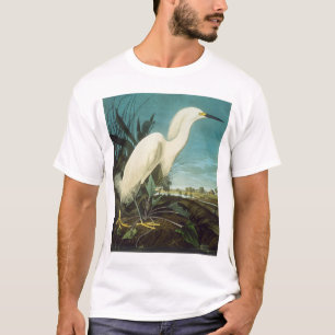 T-shirt Audubon : Aiguille