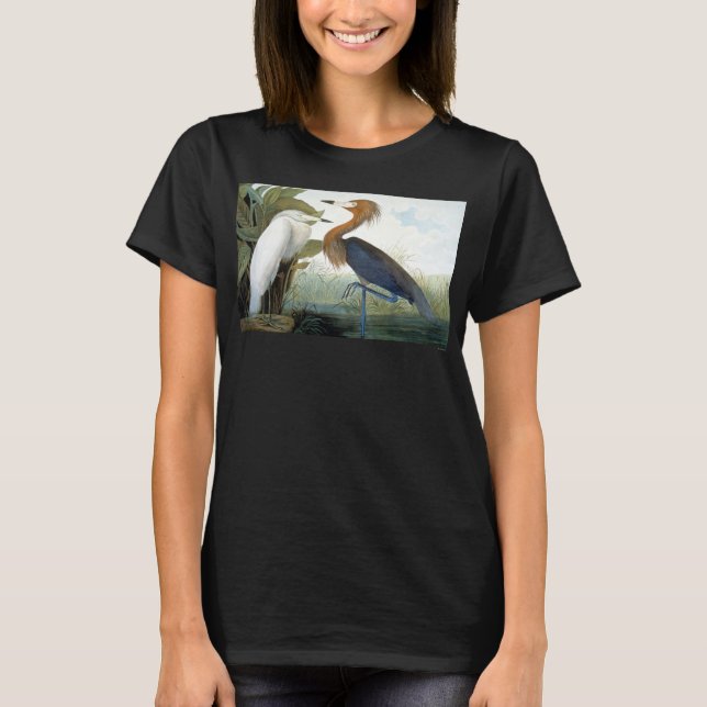 T-shirt Audubon : Aiguille Rougeâtre Ou Héron Violet (Devant)