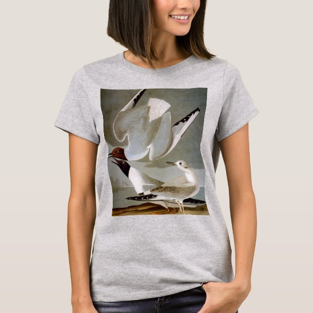 T-shirt Audubon: Bonaparte's Gull (Devant)