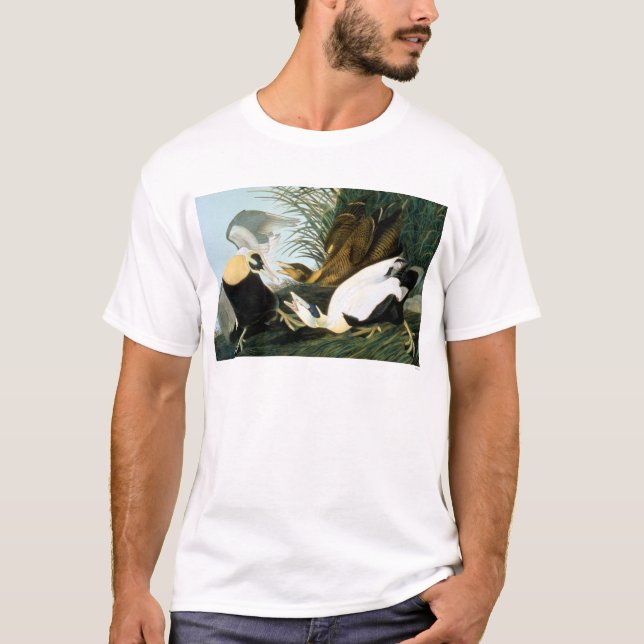 T-shirt Audubon : Canard d'Eider (Devant)