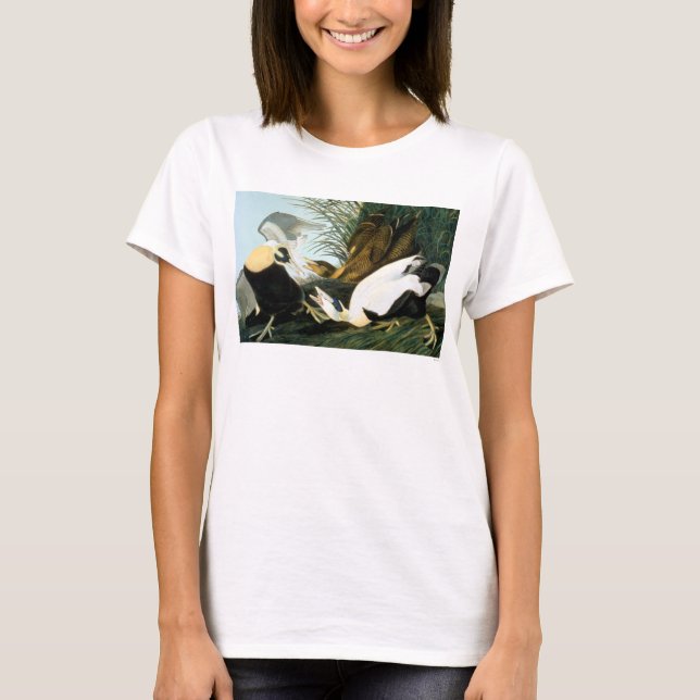 T-shirt Audubon : Canard d'Eider (Devant)