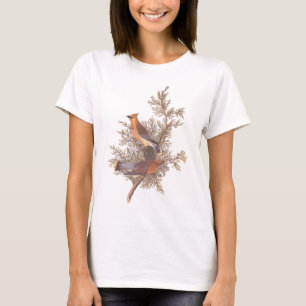 T-shirt Audubon Cèdre cire oiseau