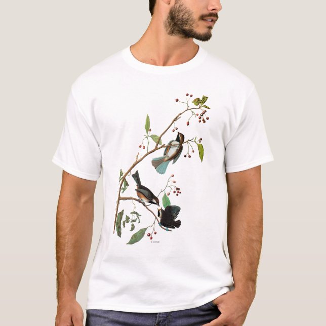 T-shirt Audubon : Chickadee (Devant)