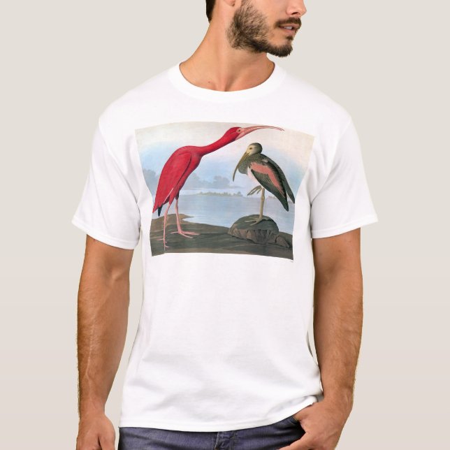 T-shirt Audubon : Écarlate IBIS (Devant)