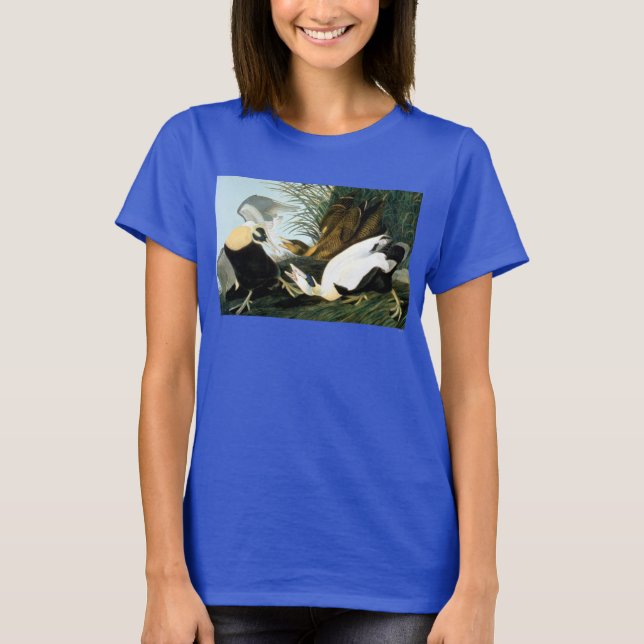 T-shirt Audubon : Eider Duck (Devant)