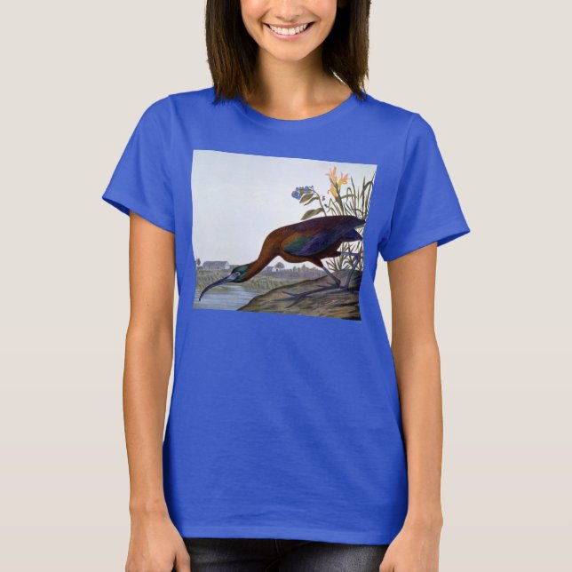 T-shirt Audubon: Glossy Ibis (Devant)