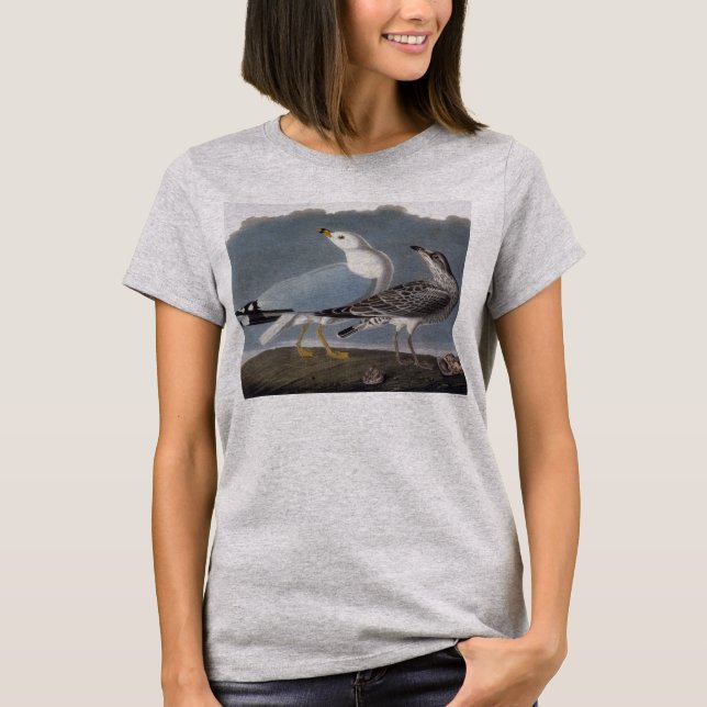 T-shirt Audubon : Goéland à anneaux (Devant)