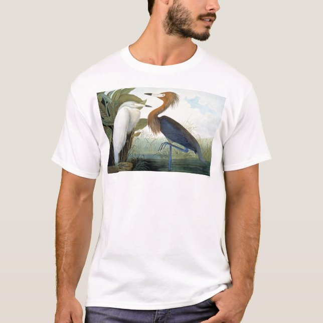 T-shirt Audubon : Héron rougeâtre ou héron pourpre (Devant)