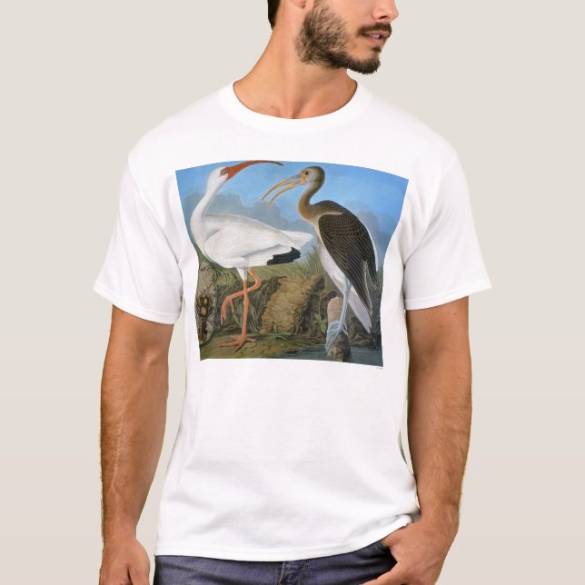 T-shirt Audubon : Ibis blanc (Devant)