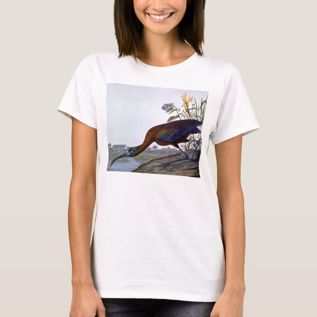 T-shirt Audubon : IBIS brillant (Devant)