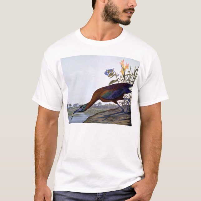 T-shirt Audubon : IBIS brillant (Devant)