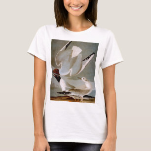 T-shirt Audubon : La mouette de Bonaparte