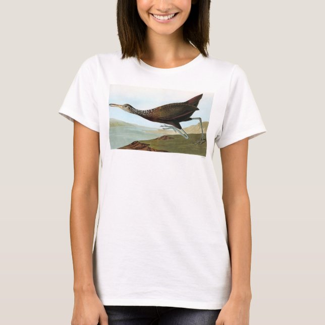T-shirt Audubon : Limpkin (Devant)