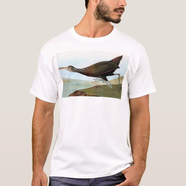 T-shirt Audubon : Limpkin (Devant)
