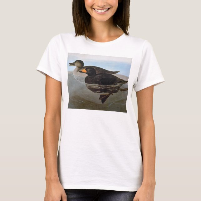 T-shirt Audubon : Macreuse noire (Devant)