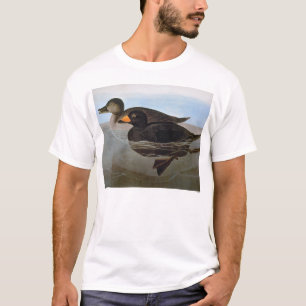 T-shirt Audubon : Macreuse noire