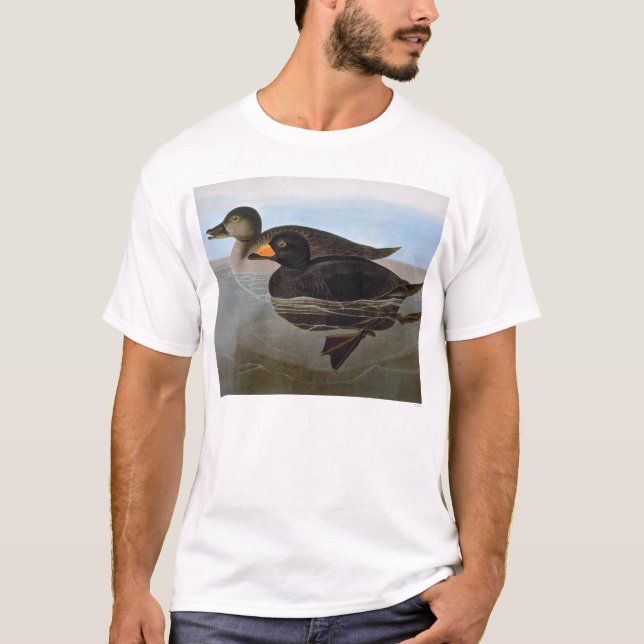 T-shirt Audubon : Macreuse noire (Devant)