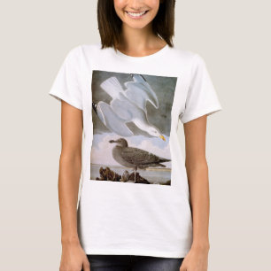 T-shirt Audubon : Mouette d'harengs