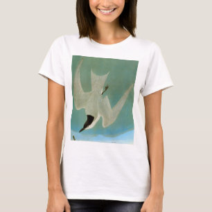 T-shirt Audubon : Sterne Mouette-Affichée