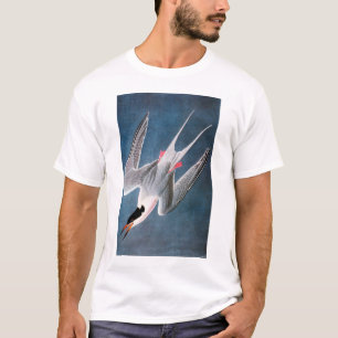 T-shirt Audubon : Sterne rose
