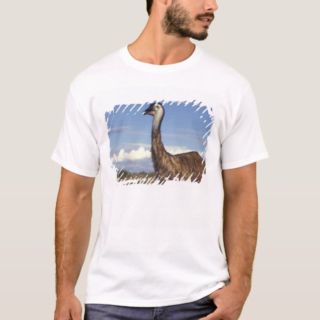 T-shirt Australie, Australie occidentale. Émeu (Dromaius (Devant)