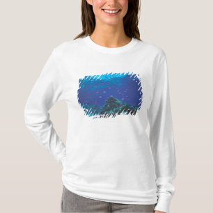 T-shirt Australie, Grande Barrière de corail. Fourmillemen