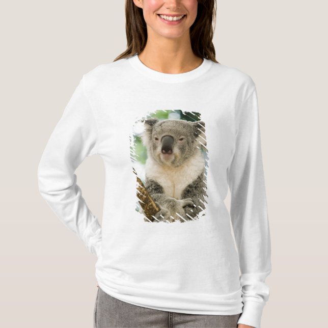 T-shirt Australie, Queensland, Brisbane, Fig Tree (Devant)