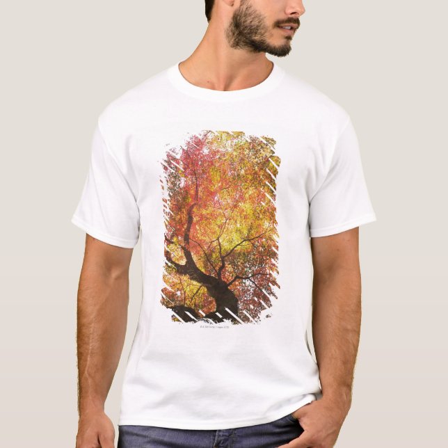 T-shirt Automne (Devant)