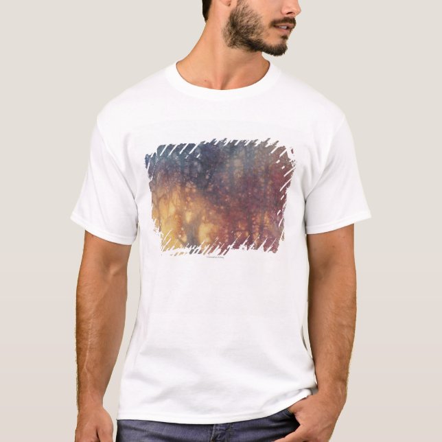 T-shirt Automne coloré (Devant)