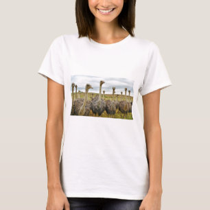 T-shirt autruche