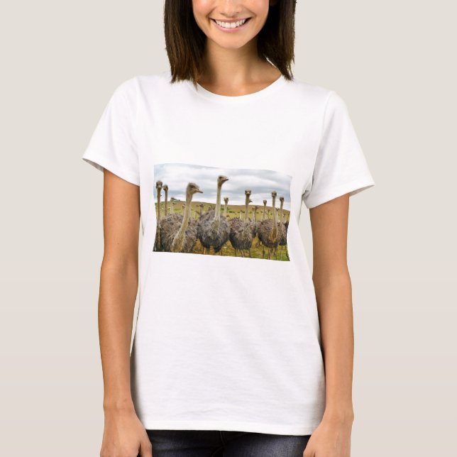T-shirt autruche (Devant)