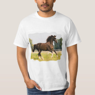 T-Shirt Avec Cheval Portant Des Lunettes De Soleil