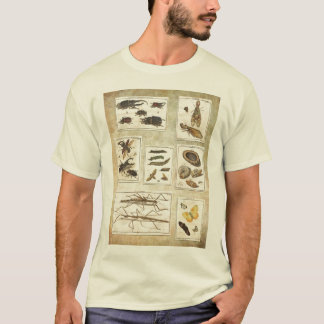 T-shirt avec des erreurs - illustrations