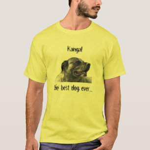 t-shirt avec kangal