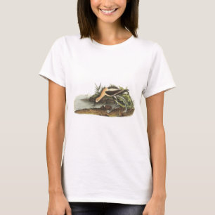 T-shirt Avocette américaine par Audubon