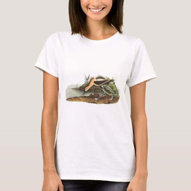 T-shirt Avocette américaine par Audubon (Devant)