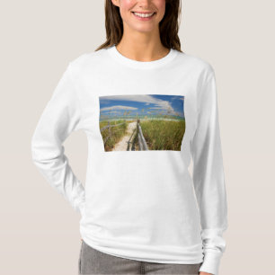 T-shirt Avoine de mer Uniola paniculata) poussant près de