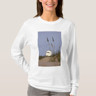 T-shirt Avoine de mer Uniola paniculata) poussant sur le s