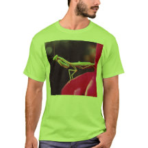 Avons-nous été présentés ?