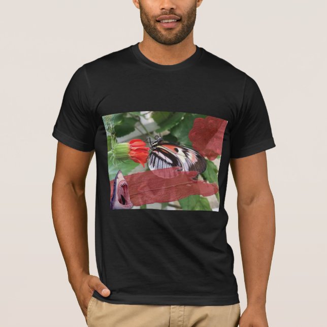 T-shirt $B$ $haricots et vieux anglais (Devant)